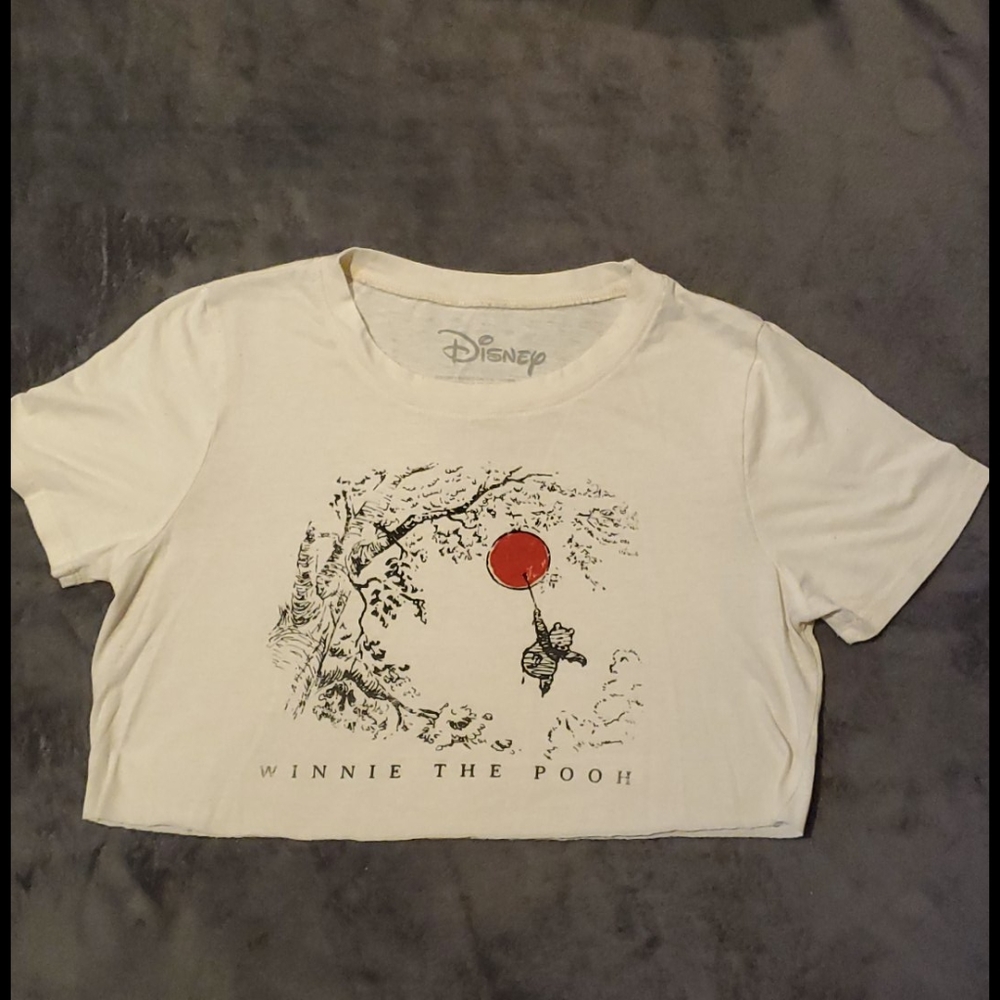 Winnie the poo crop top